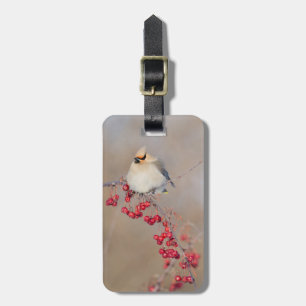 Bohemian waxwing in winter, Canada Luggage Tag
