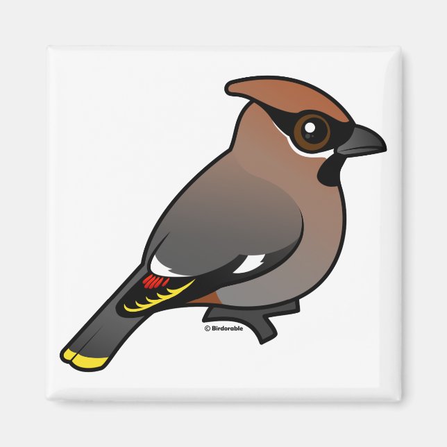 Bohemian Waxwing Magnet (Front)