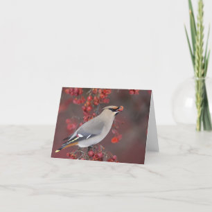 Bohemian Waxwing Notecards