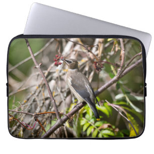 Bohemian Waxwing, Resting On a Branch Laptop Sleeve