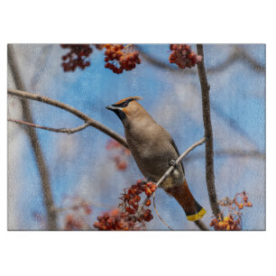 Bohemian Waxwing, Wildlife Avian Photography Cutting Board