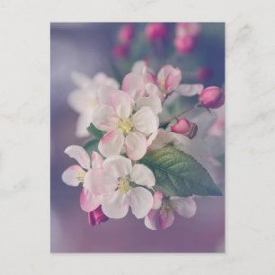 Boho Aesthetic Post Card 018