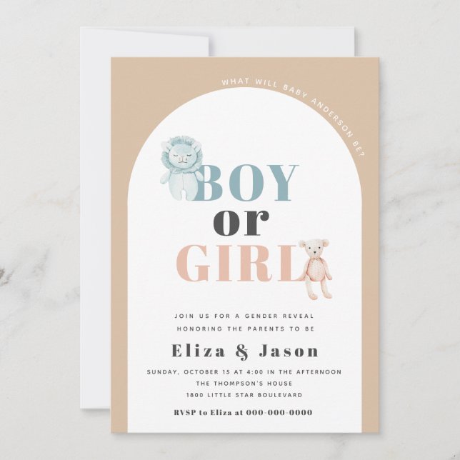 Boho Arch Desert Boy or Girl Gender Reveal  Invitation (Front)
