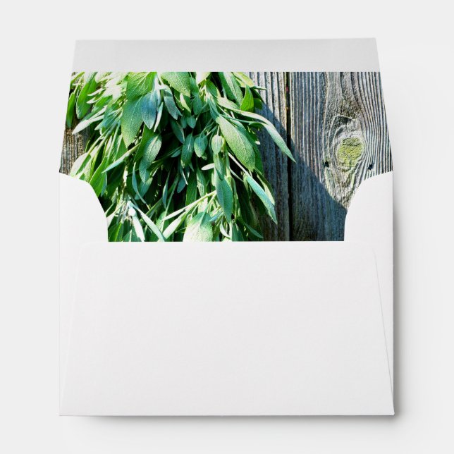 Boho botanical herb leaves rustic Barn-wood  Envelope (Back (Bottom))