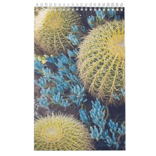 Boho Cactus Garden Calendar