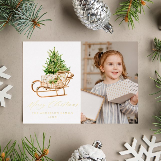 Boho Christmas Sleigh Photo (Creator Uploaded)