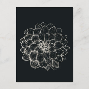 Boho Cream Dahlia Postcard