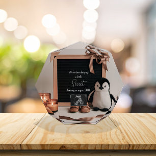 Boho earthy neutral pregnancy announcement  photo block