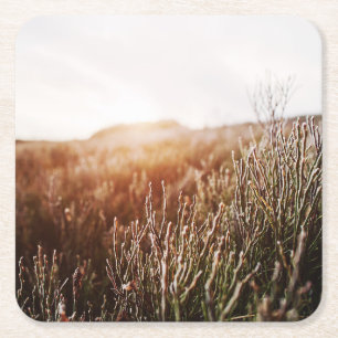 Boho Grass Field Any Occasion Square Paper Coaster