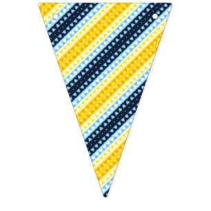 Boho Groovy Geometric Abstract AroAce Pride Flag