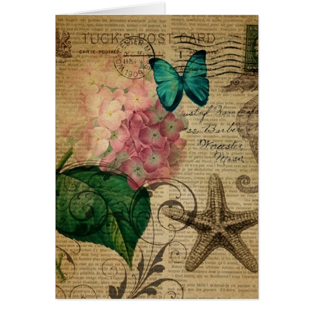 boho Hydrangea butterfly starfish French Botanical (Front)