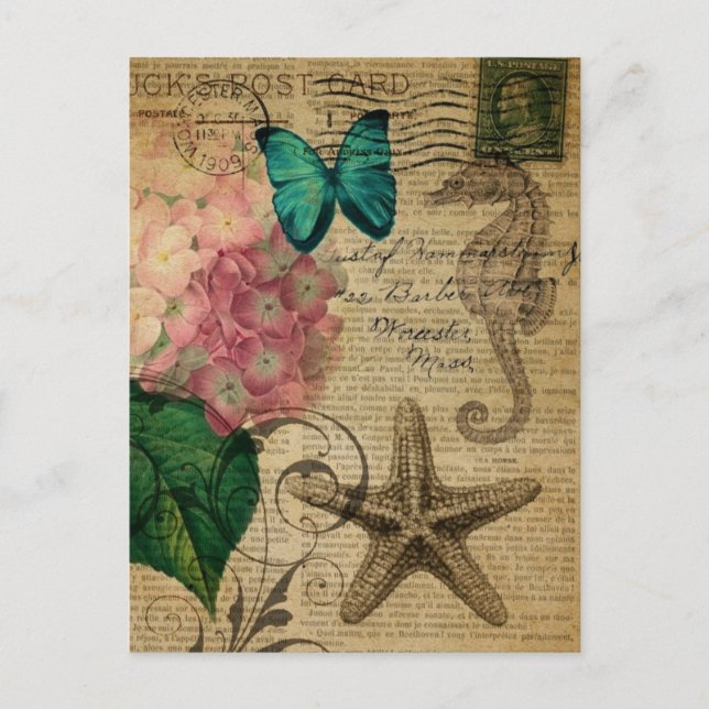 boho Hydrangea butterfly starfish French Botanical Postcard (Front)