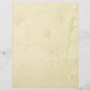 Boho Paper Letterhead