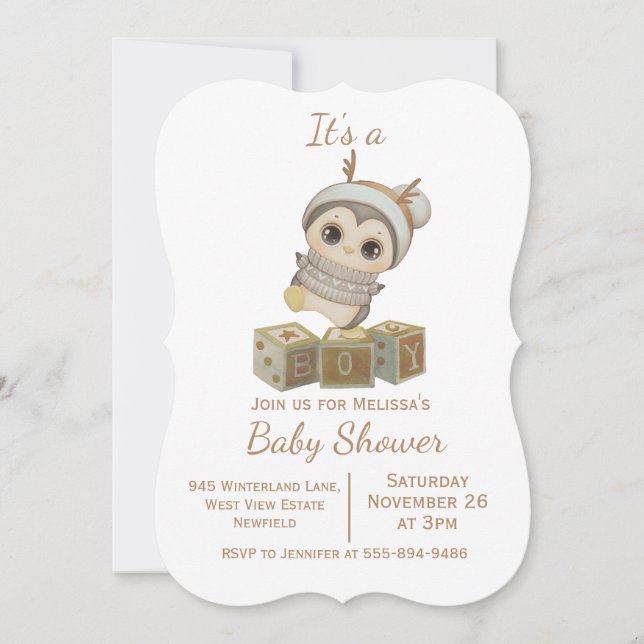Boho Penguin Boy Baby Shower Invitation (Front)