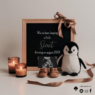 Boho penguin plushie pregnancy announcement 