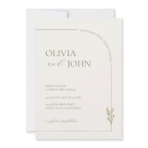 Boho Sage Green & Linen Arch Minimalist w Details