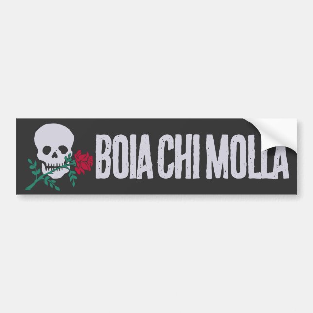 BOIA CHI MOLLA BUMPER STICKER (Front)