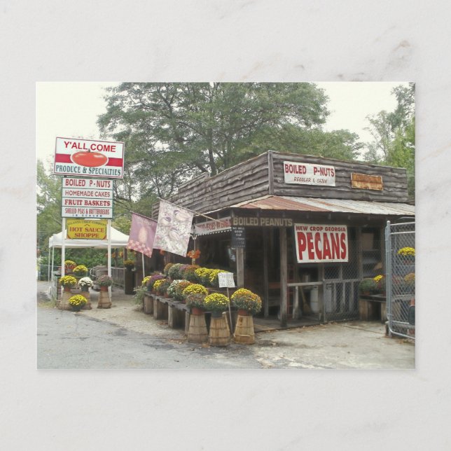 Boiled Peanuts Y'ALL COME Postcard (Front)