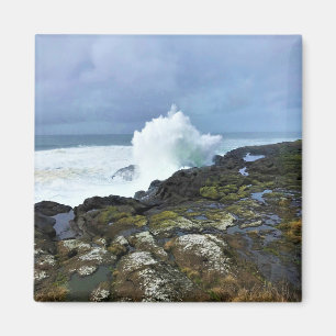 Boiler Bay State Wayside, Depoe Bay, Oregon Magnet