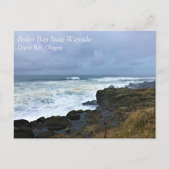 Boiler Bay State Wayside, Depoe Bay, Oregon Postca Postcard (Front)