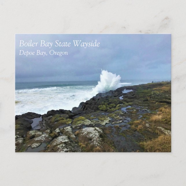 Boiler Bay State Wayside, Depoe Bay, Oregon Postca Postcard (Front)