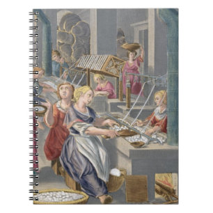 Boiling the Cocoons to Destroy the Chrysalids and Spiral Notebook