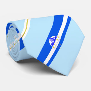 Boise (Idaho) city flag Neck Tie
