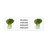 Bok choy cartoon illustration