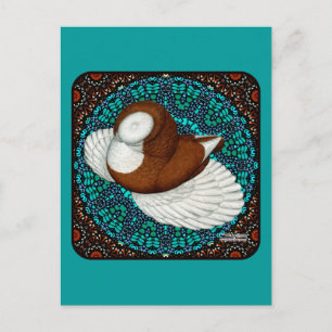 Bokhara Pigeon Fancy Postcard