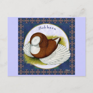 Bokhara Pigeon In The Round Postcard