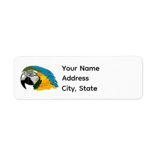 Bold Blue and Gold Macaw Address