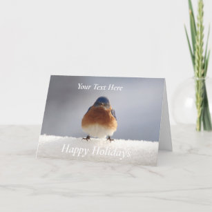 Bold Bluebird Greeting Card