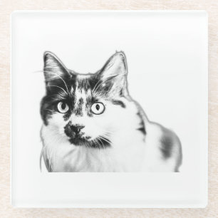 Bold Curious Cat Ink Coaster
