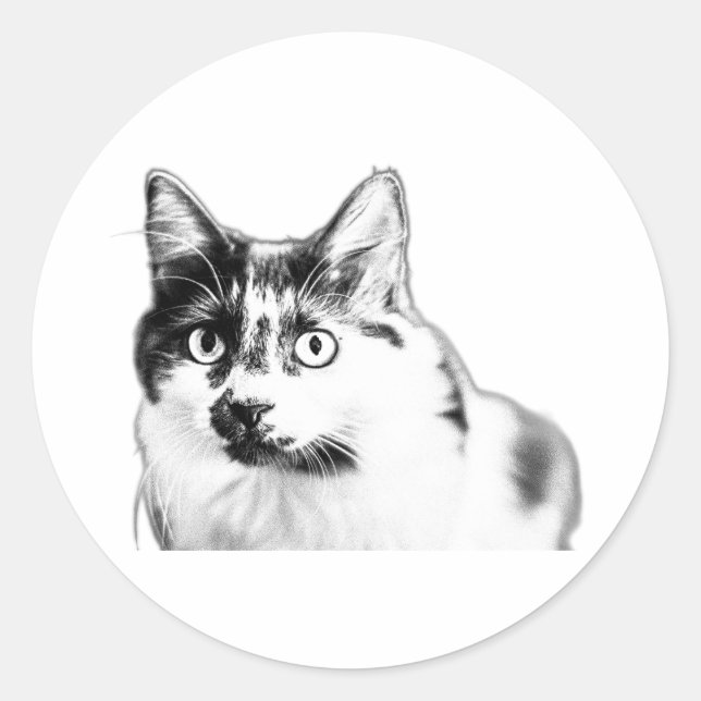 Bold Curious Cat Sticker (Front)