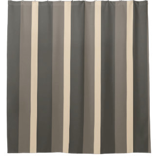 Bold Earthtone Striped Shower Curtain