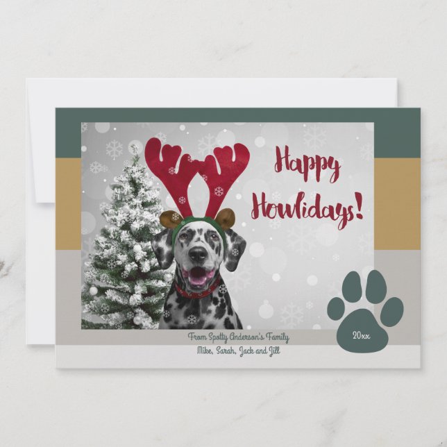 Bold Modern Pet Lover Funny Christmas Photo Holiday Card (Front)