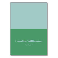 Bold Name Light Blue Green Custom Place Card