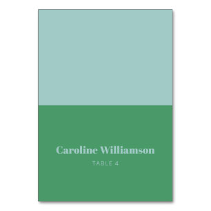 Bold Name Light Blue Green Custom Place Card