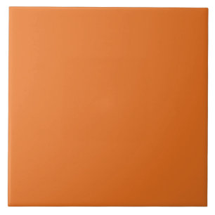 Bold Orange Ceramic Tile. Tile