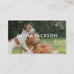 Bold Pet Groomer Business Card