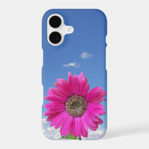 Bold Pink Gerbera Daisy