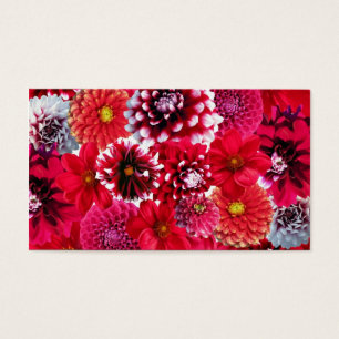 Bold Pink Magenta Dahlia Flowers Floral Collage