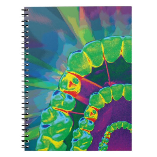 Bold rainbow coloured teeth model design spiral notebook (Front)