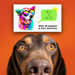 Bold Rainbow Dog Walker Pet Sitter Business Card