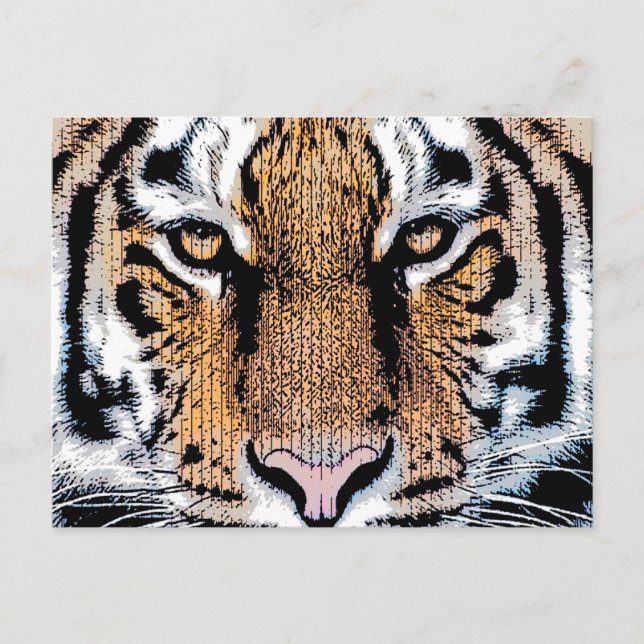 Bold Tiger Portrait Graphic Press Style Postcard (Front)