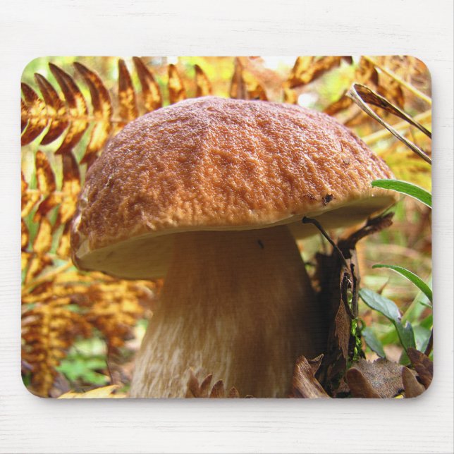 BOLETUS EDULIS MOUSE PAD (Front)