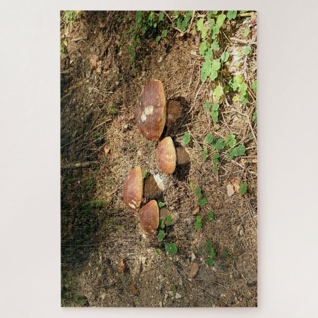 boletus jigsaw puzzle (Vertical)