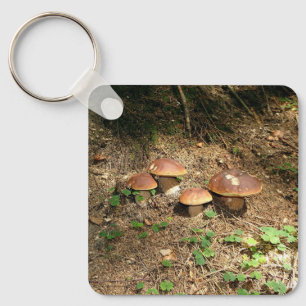boletus key ring