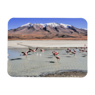 Bolivia landscape photograph magnet