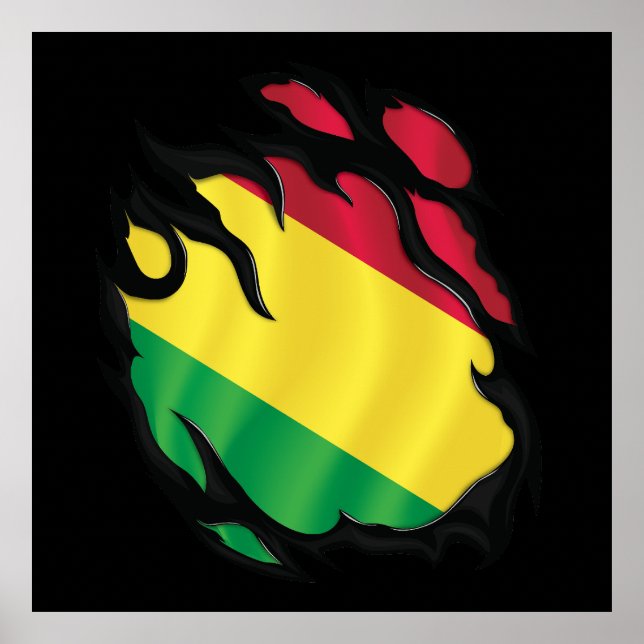 Bolivia Ripped Flag Poster (Front)
